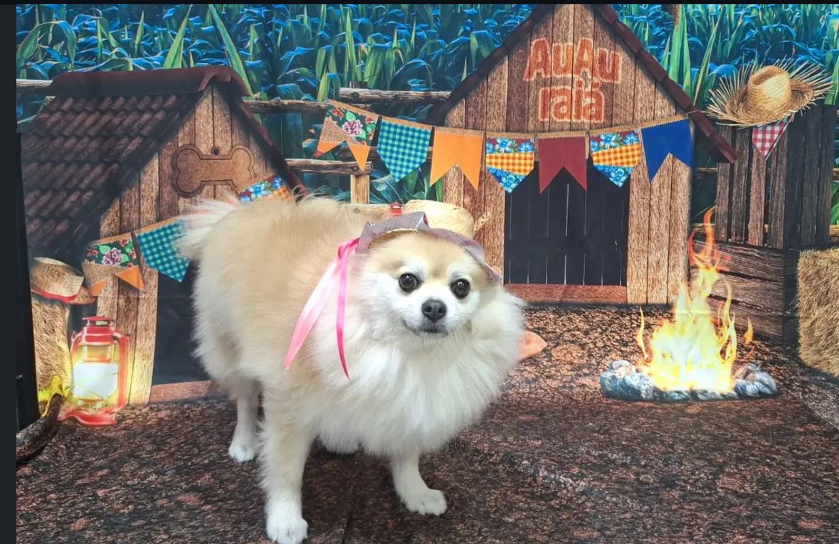 Foto de um pet cliente